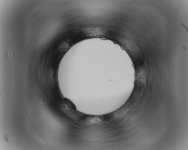 X0000097510572200803142044