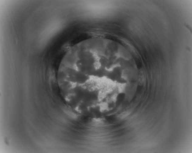 X0000097510573200803142044