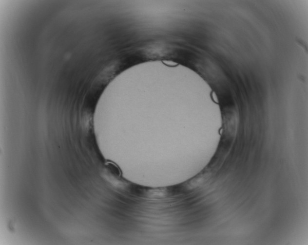 X0000097510574200803142044