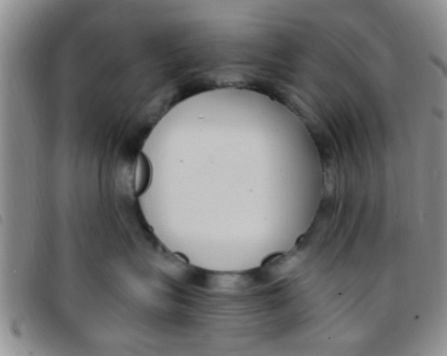 X0000097510575200803142044