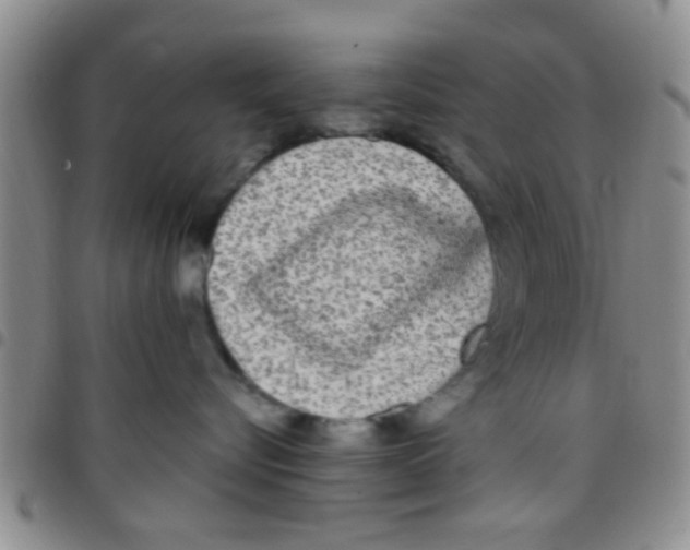 X0000097510576200803142044