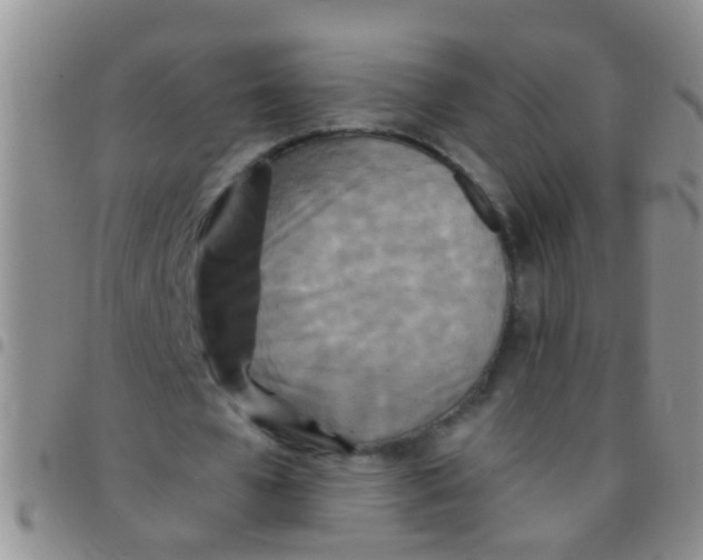 X0000097510577200803142043