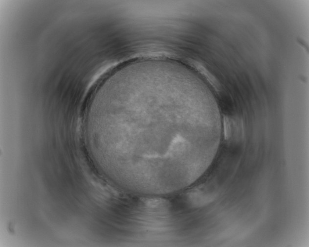 X0000097510579200803142043
