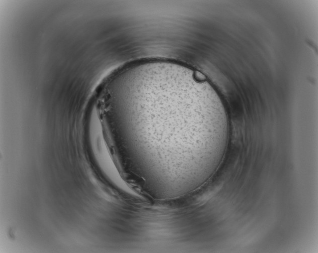 X0000097510580200803142043