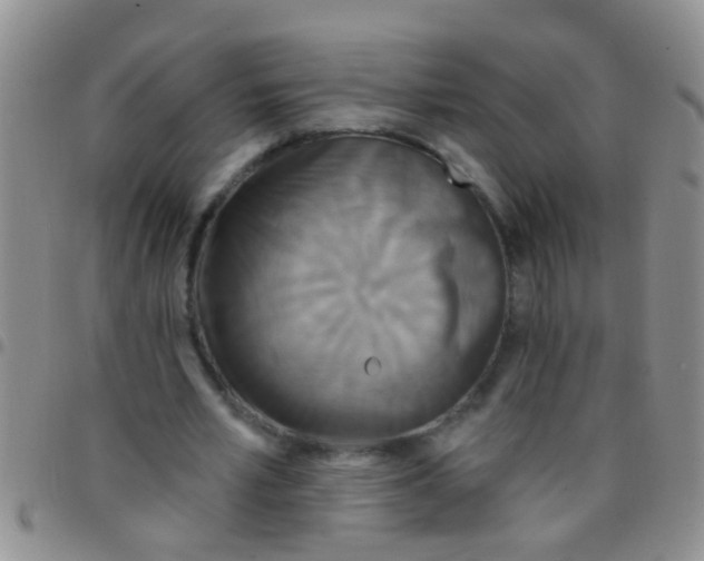 X0000097510581200803142043