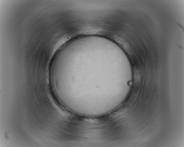 X0000097510582200803142043