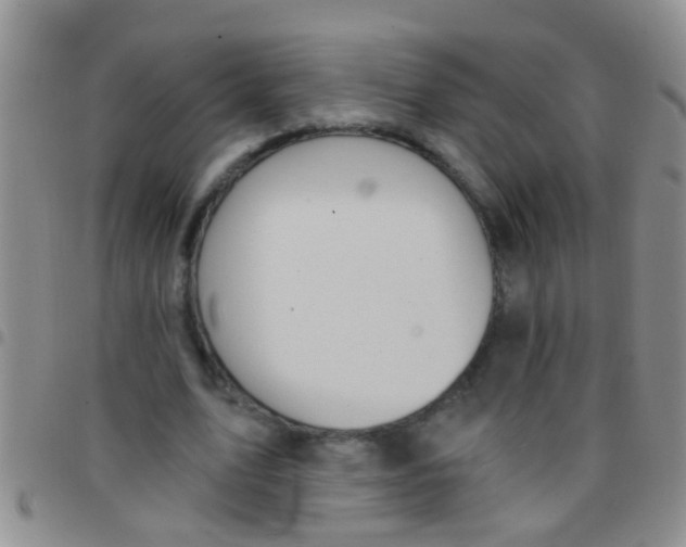 X0000097510583200803142043