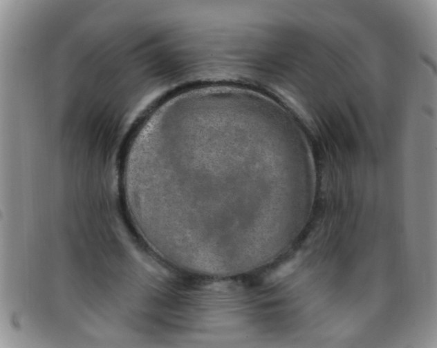 X0000097510584200803142043