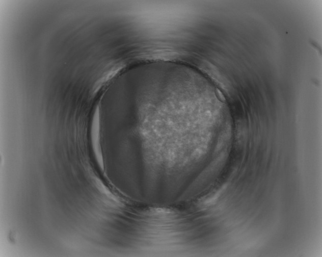 X0000097510585200803142043