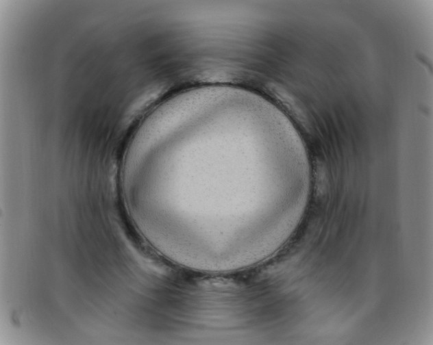 X0000097510586200803142043