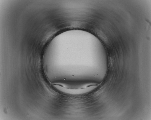 X0000097510588200803142043