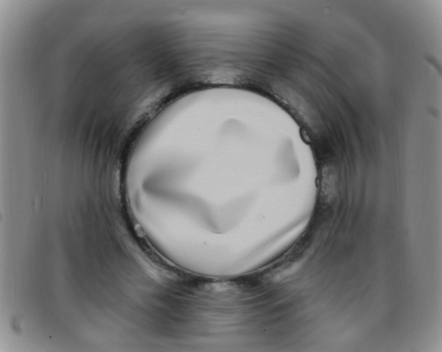 X0000097510589200803142043