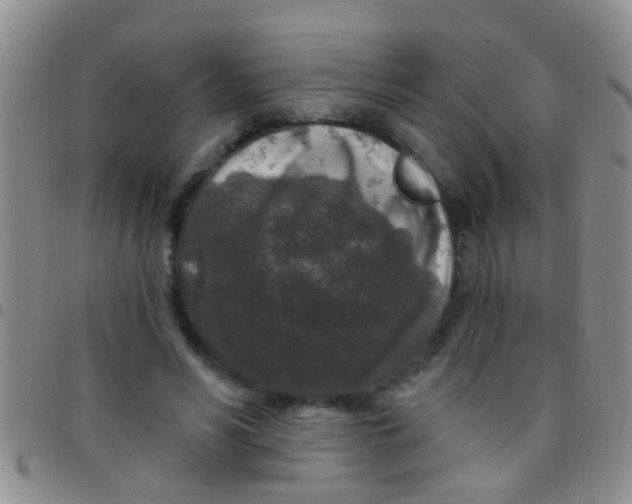 X0000097510590200803142043