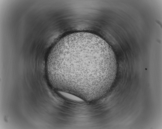 X0000097510592200803142043