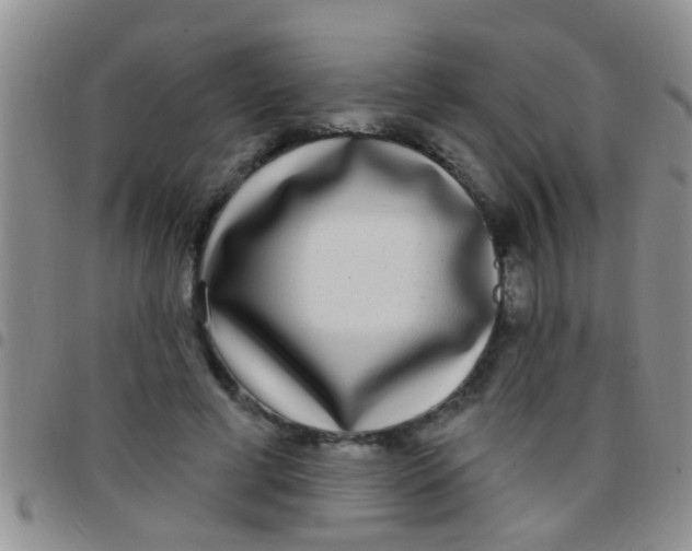 X0000097510593200803142043