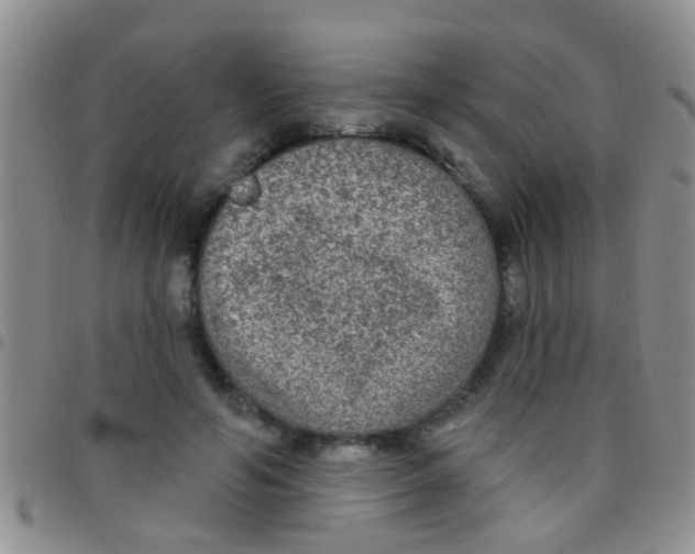 X0000097510594200803142043