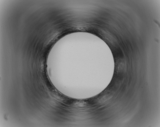 X0000097510595200803142043