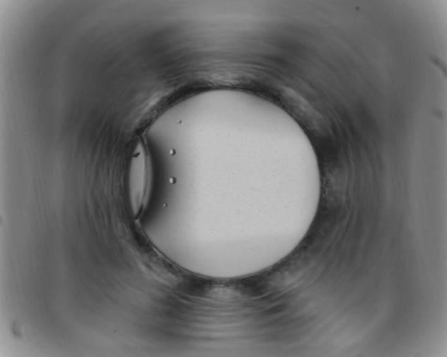 X0000097510596200803142043