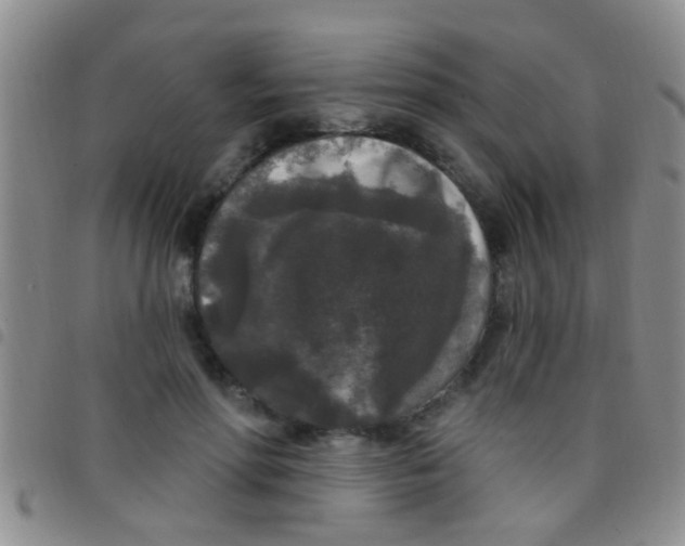 X0000097510598200803142043