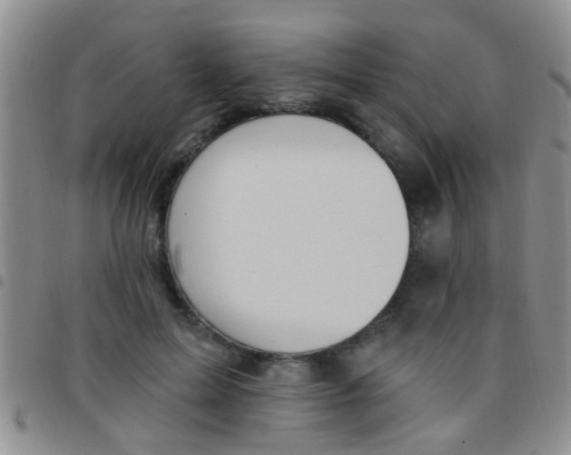 X0000097510599200803142043