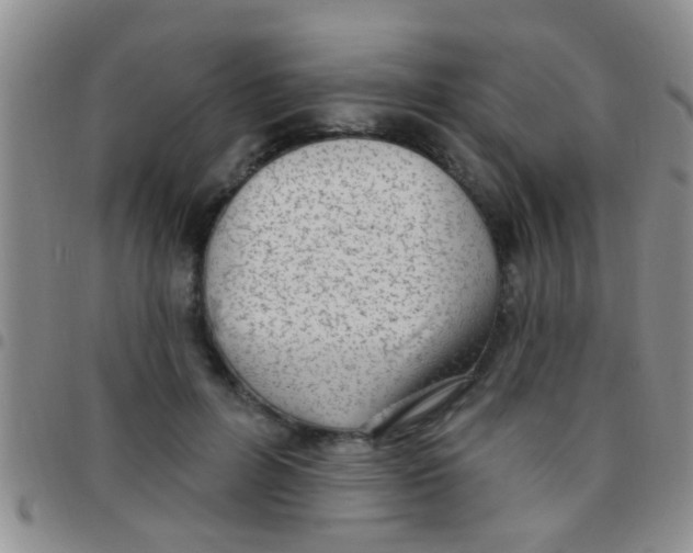 X0000097510600200803142043