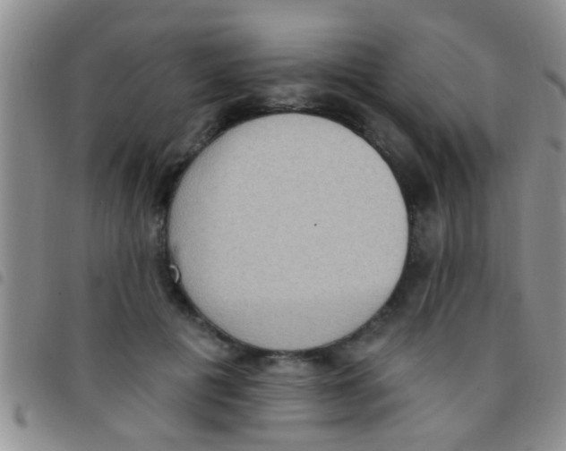 X0000097510601200803142043