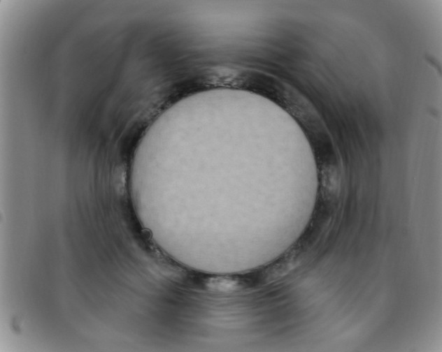 X0000097510602200803142043