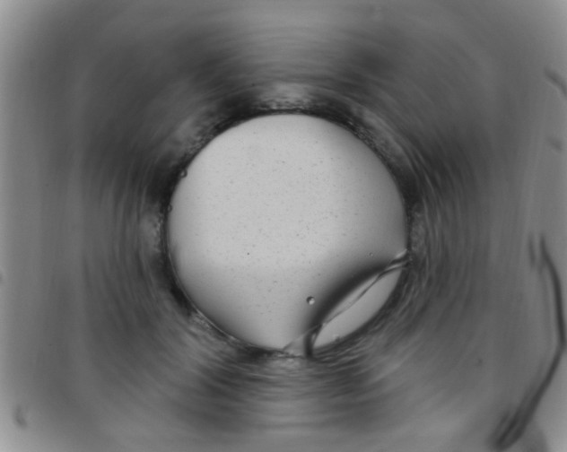 X0000097510604200803142043