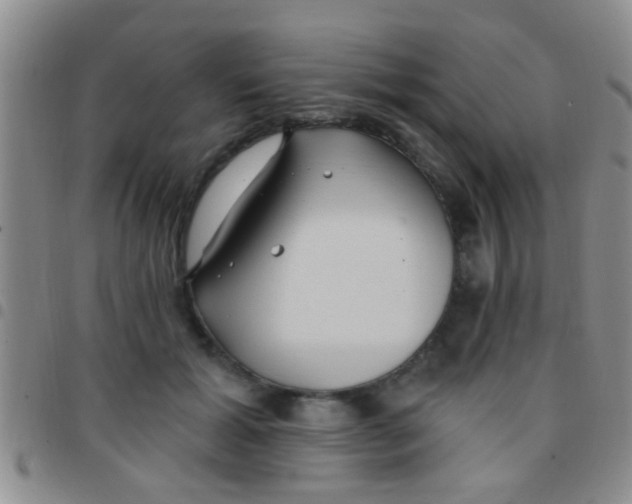 X0000097510605200803142043