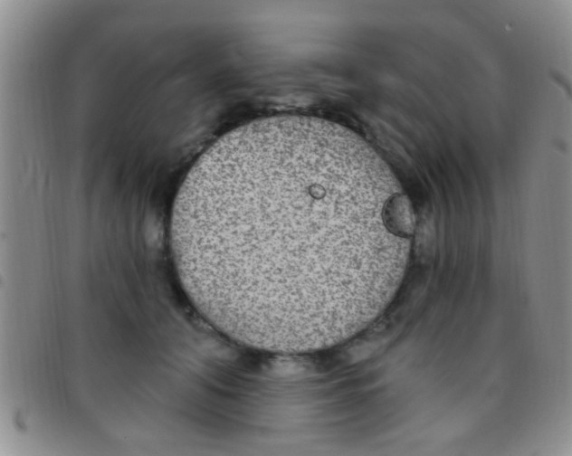 X0000097510608200803142043