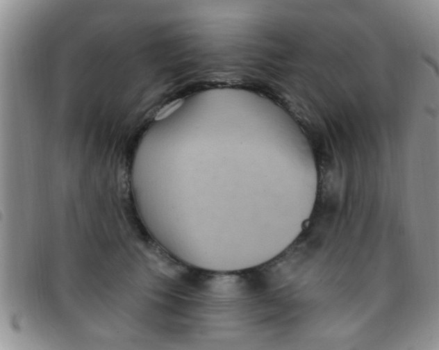 X0000097510609200803142043