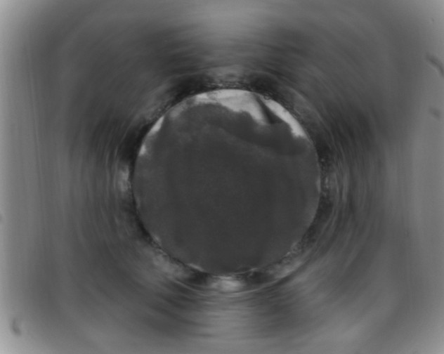 X0000097510610200803142043