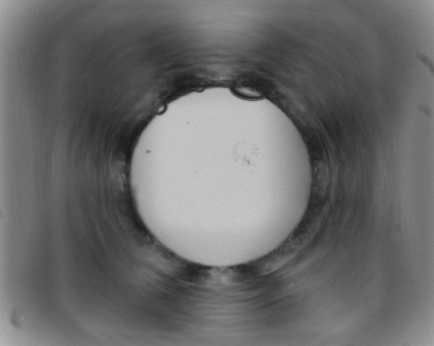 X0000097510612200803142043