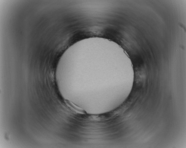 X0000097510613200803142043