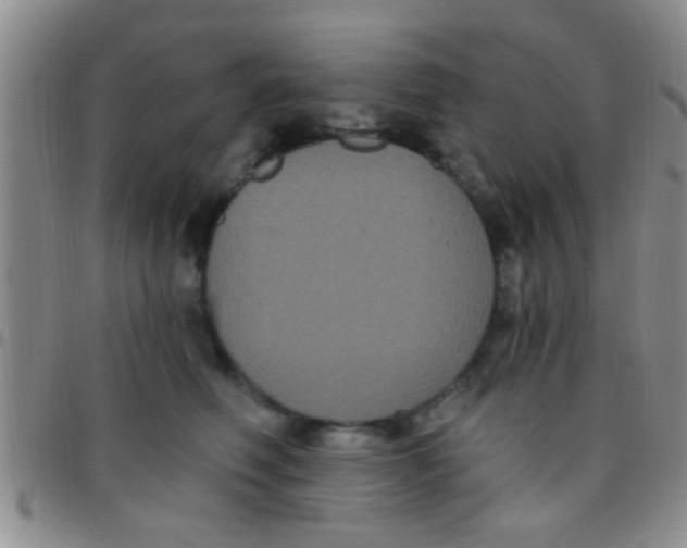 X0000097510614200803142043