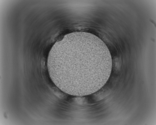 X0000097510615200803142043