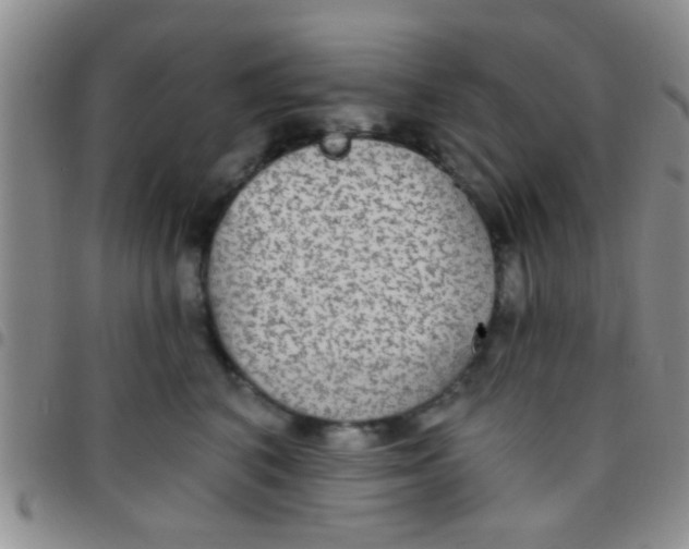 X0000097510616200803142043