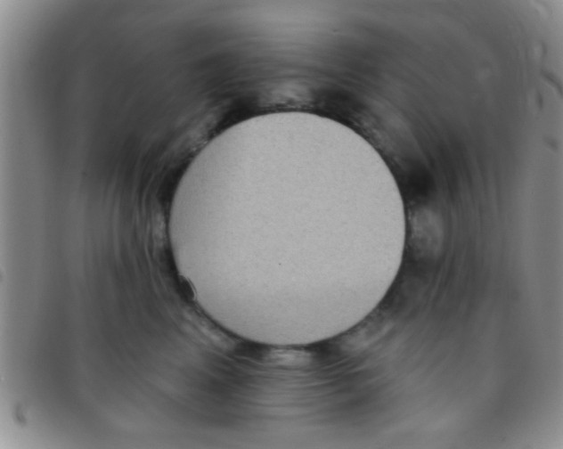 X0000097510617200803142042