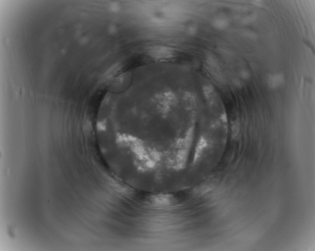 X0000097510618200803142042