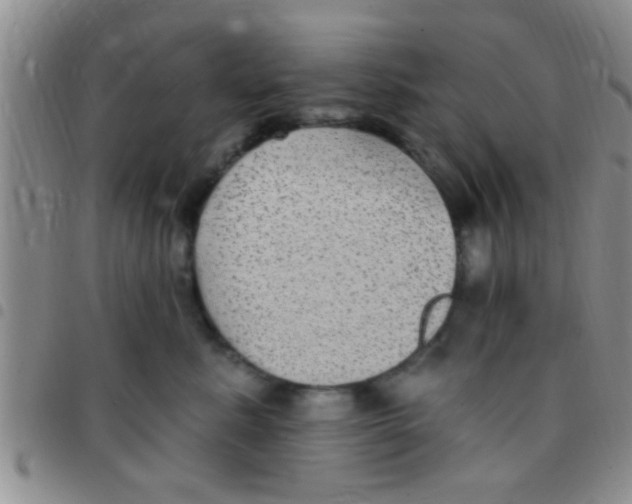 X0000097510619200803142042