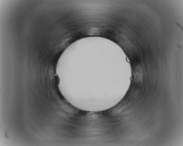 X0000097510620200803142042