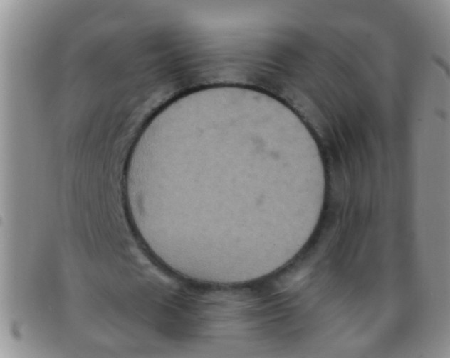 X0000097510625200803142042