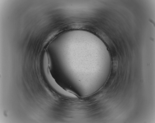 X0000097510626200803142042