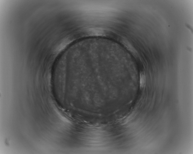 X0000097510627200803142042