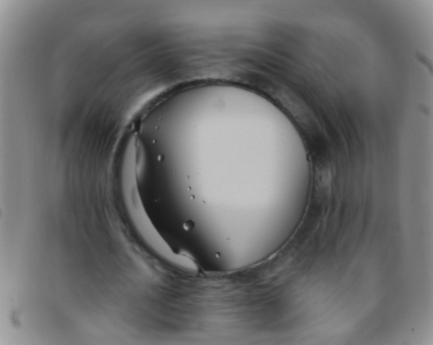 X0000097510628200803142042