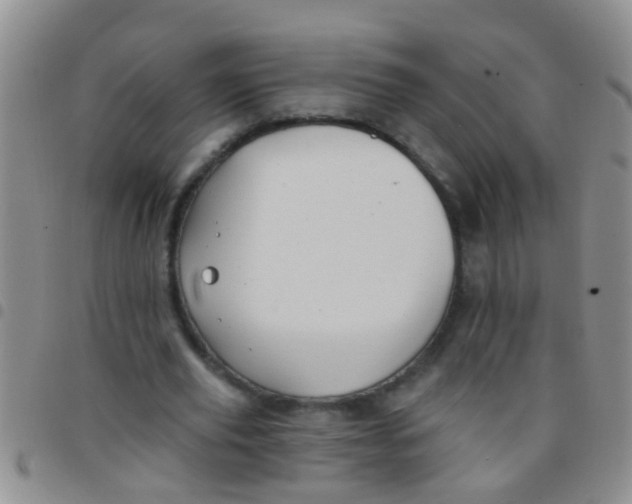 X0000097510629200803142042