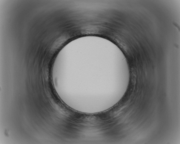 X0000097510631200803142042