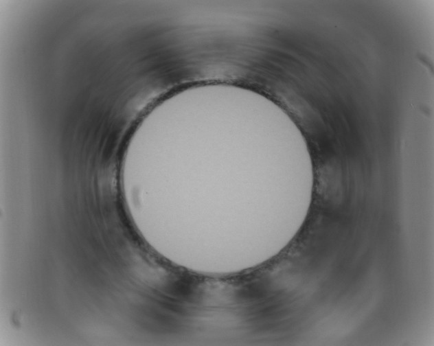 X0000097510632200803142042
