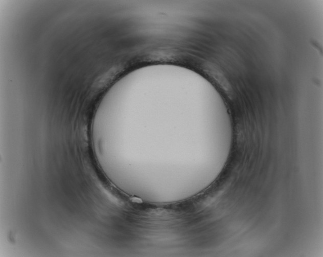 X0000097510633200803142042