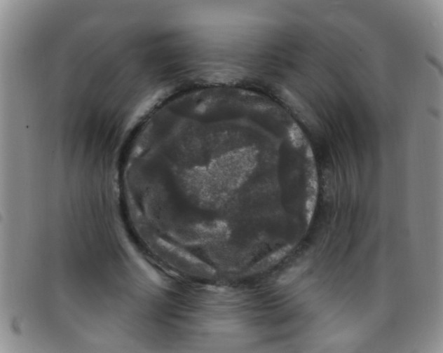 X0000097510634200803142042